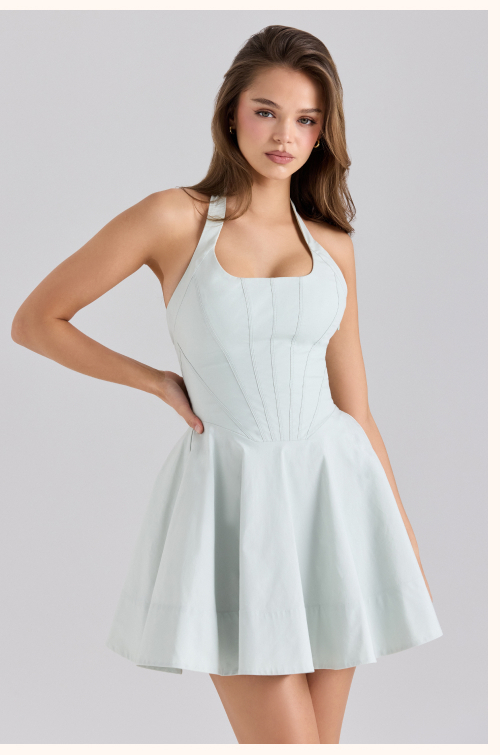 Sasha mini dress